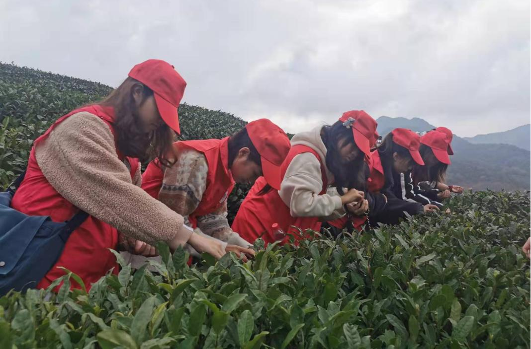 图片3.png 图片3.png